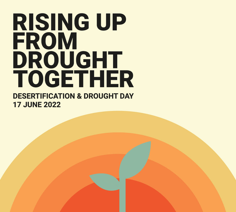 Fighting Desertification and Drought Together