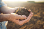 Why Organic Matters: SOIL