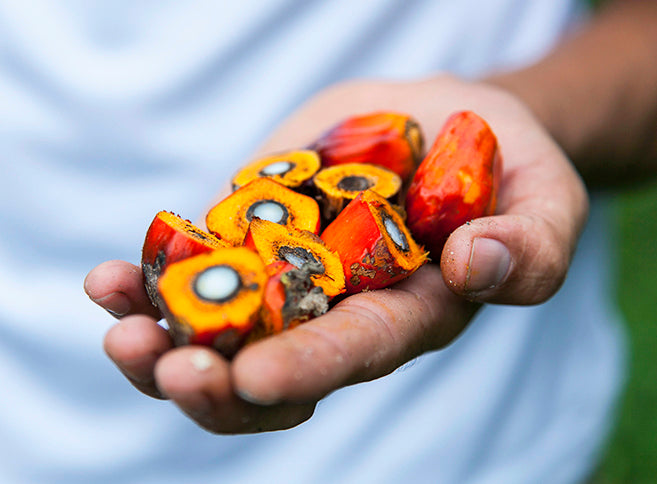 Not All Palm Oil Is Created Equal (Why We Use It, and Why Palm Done Right is So Important)